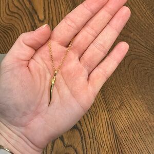 Gold Tone Italian horn (cornicello) pendant necklace